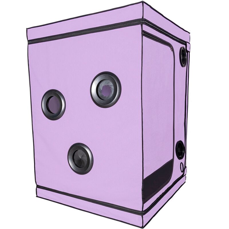 SECRET DOME - KINK CLUB CABIN SCANDALE PURPLE - My naughty haven #