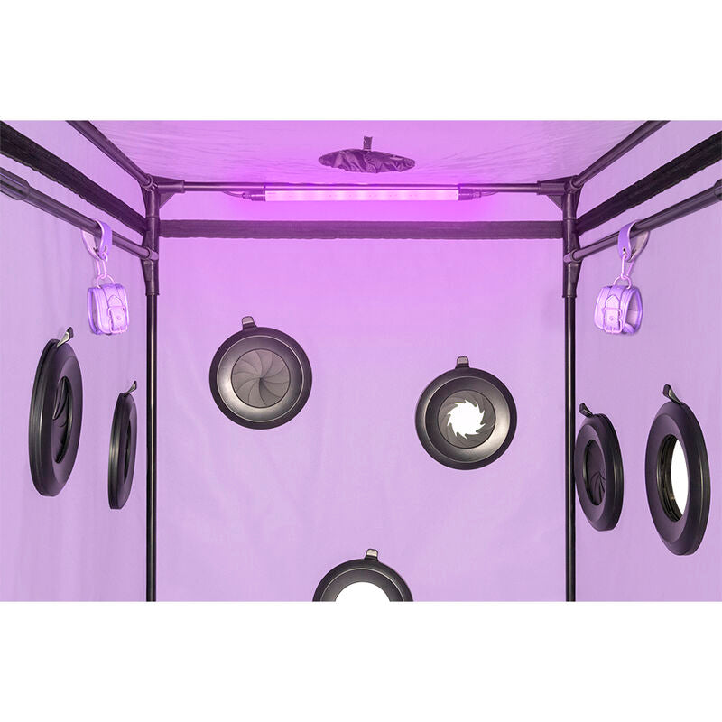 SECRET DOME - KINK CLUB CABIN SCANDALE PURPLE - My naughty haven #