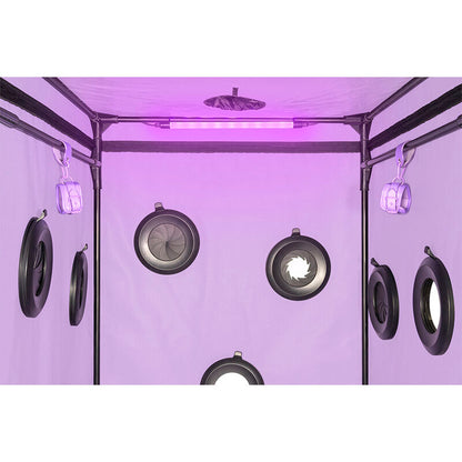SECRET DOME - KINK CLUB CABIN SCANDALE PURPLE - My naughty haven #