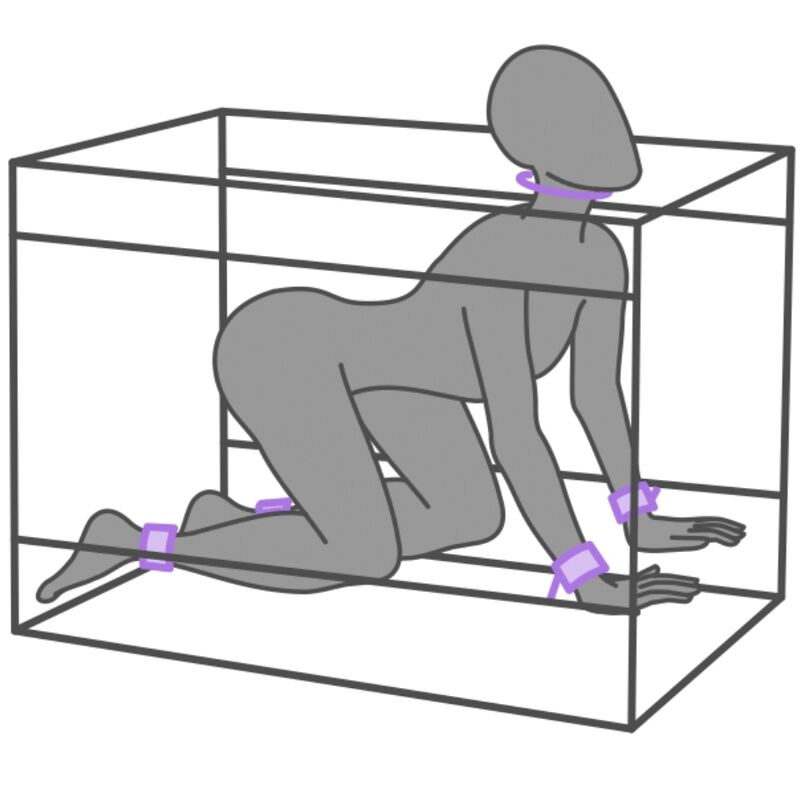 SECRET DOME - KINK CLUB LA NICHE CABIN PURPLE - My naughty haven #