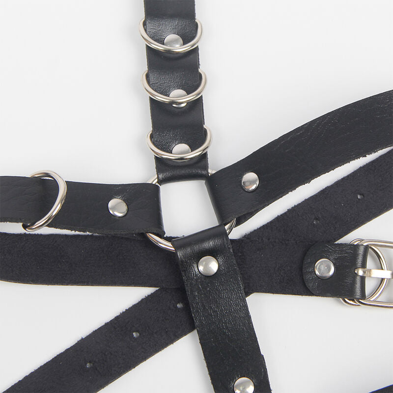 SUBBLIME - GARTER HARNESS WITH RINGS ONE SIZE - My naughty haven #